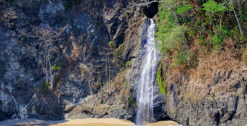 Autotour : Trésors naturels costariciens et extension possible au Corcovado