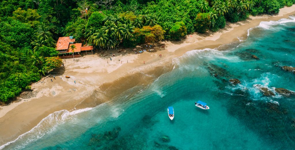 Autotour : Trésors naturels costariciens et extension possible au Corcovado