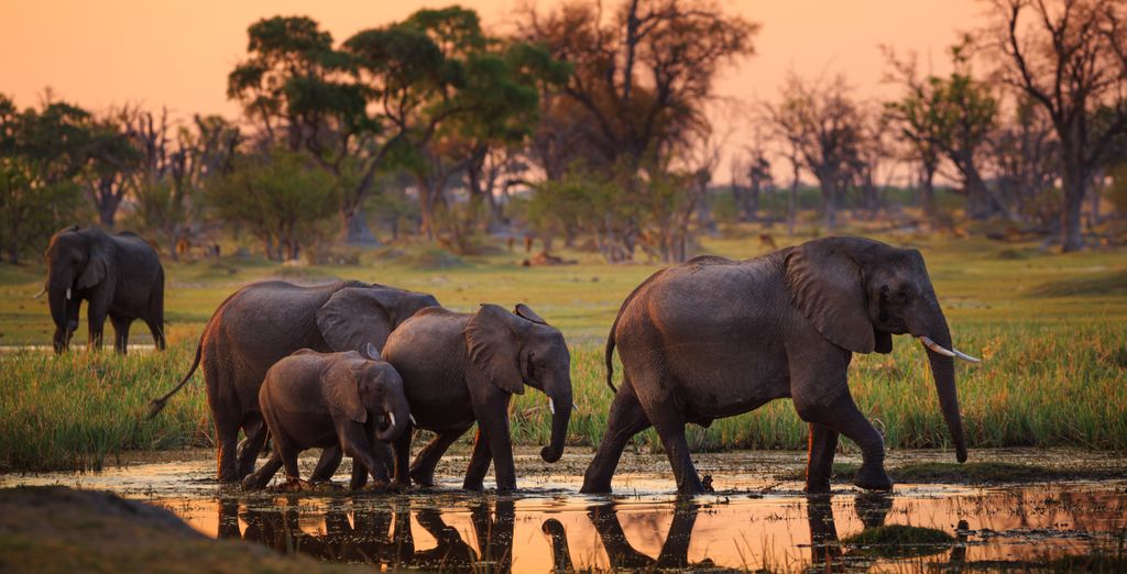 Autotour tra i tesori naturali dell'Africa Meridionale