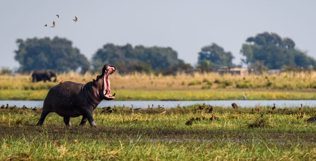 Autotour tra i tesori naturali dell'Africa Meridionale