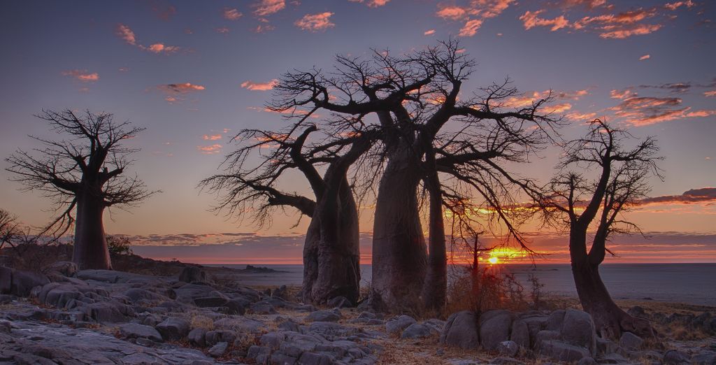 Autotour tra i tesori naturali dell'Africa Meridionale