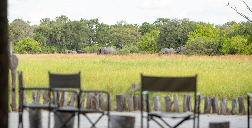 Autotour tra i tesori naturali dell'Africa Meridionale