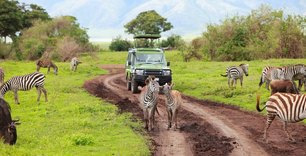 Safari privato nella natura e Karafuu Beach Resort & Spa 5*