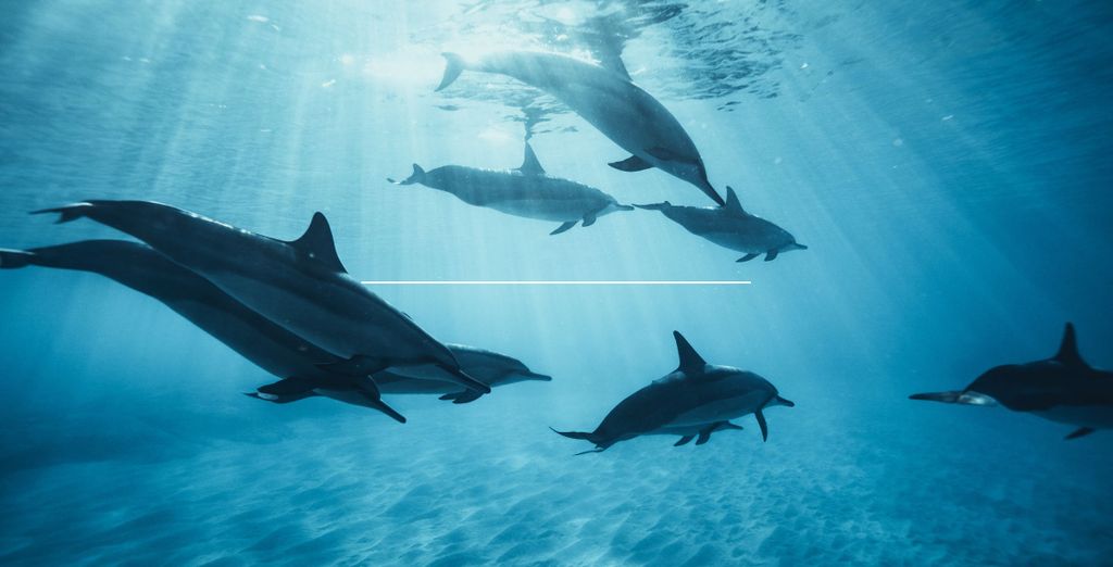 Tour alla scoperta delle bellezze naturali con safari