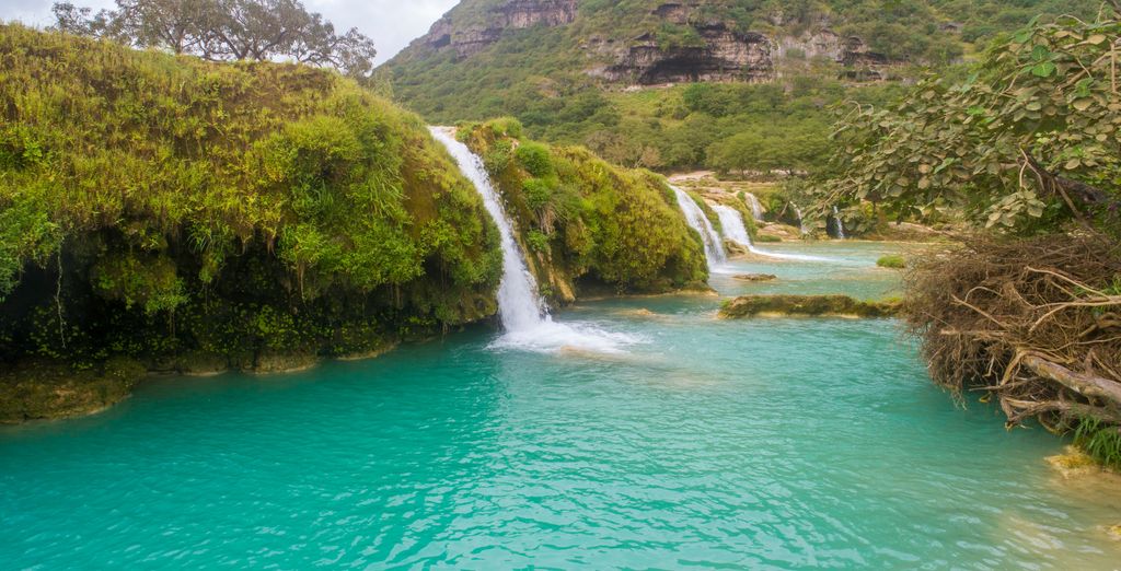 Tour alla scoperta delle bellezze naturali con safari