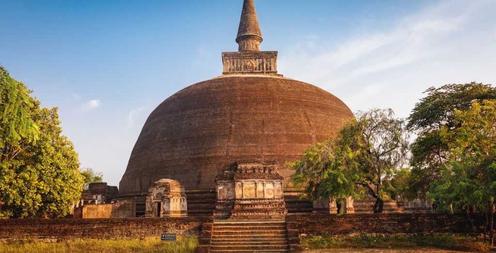 Tour di gruppo: L'essenza dello Sri Lanka