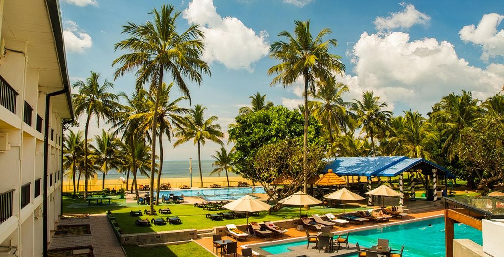 Tour privato: Alla scoperta dell'antica Ceylon