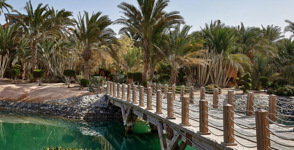 Sheraton Miramar Resort El Gouna 5*
