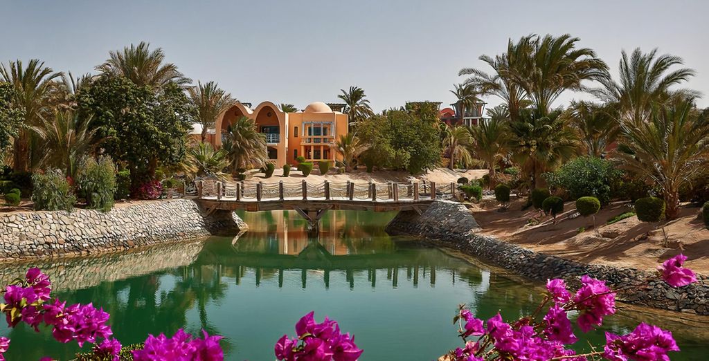 Sheraton Miramar Resort El Gouna 5*