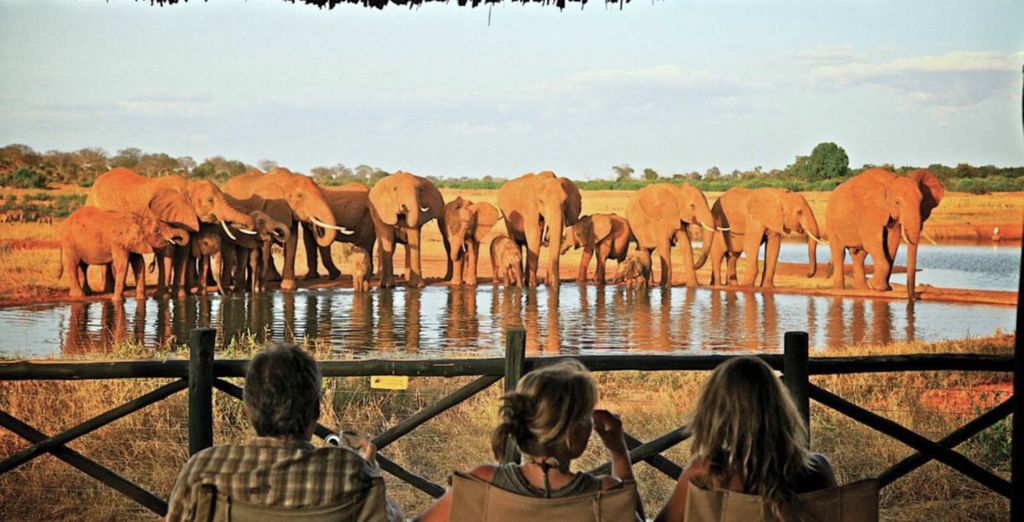 Voyager Beach Resort 4* e safari nella natura