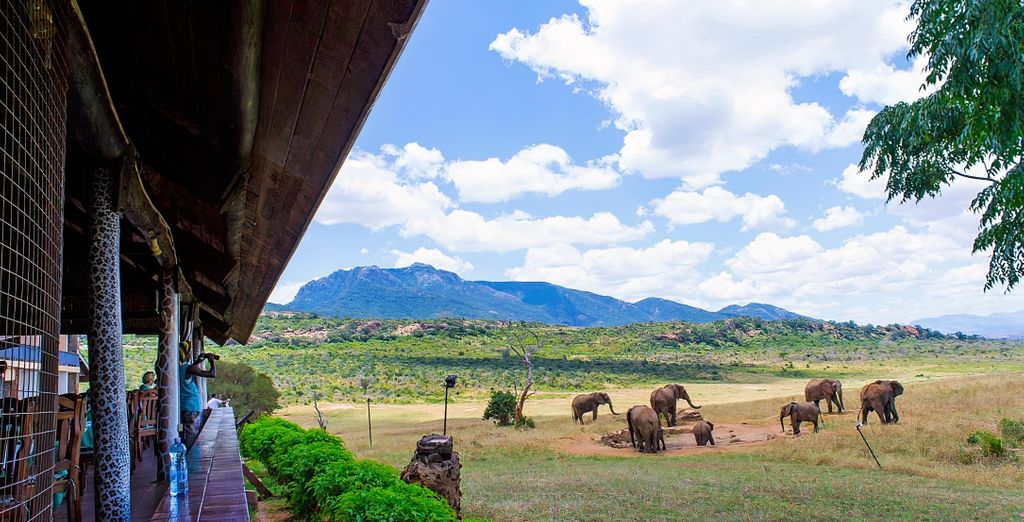 Oclub Zen Lion Beach Resort 4* con possibile safari a Tsavo