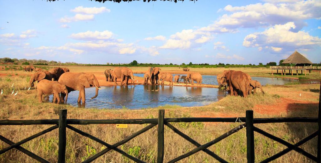 Safari emozionante ed Hemingways Watamu 5*