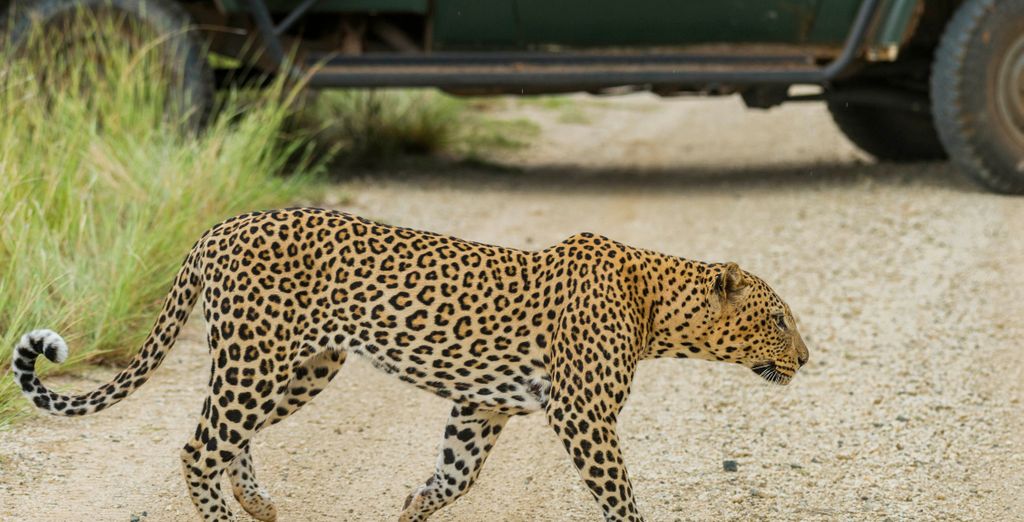 Impodimo Game Lodge 5* 