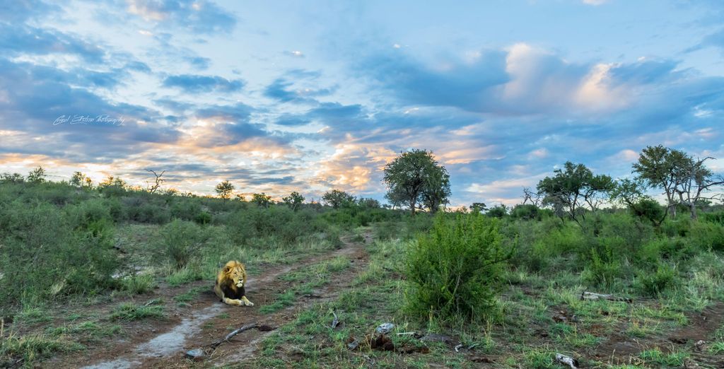 Impodimo Game Lodge 5* 