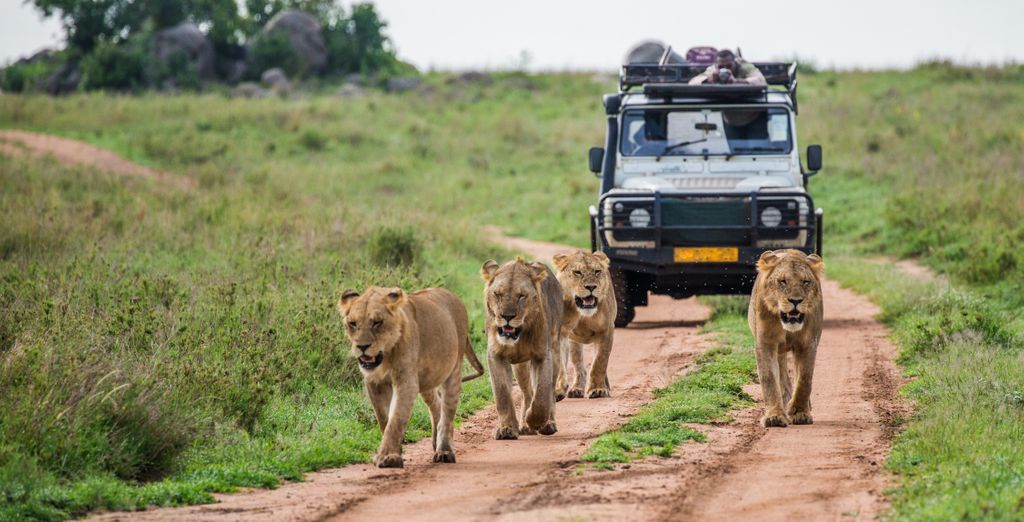 Impodimo Game Lodge 5* 