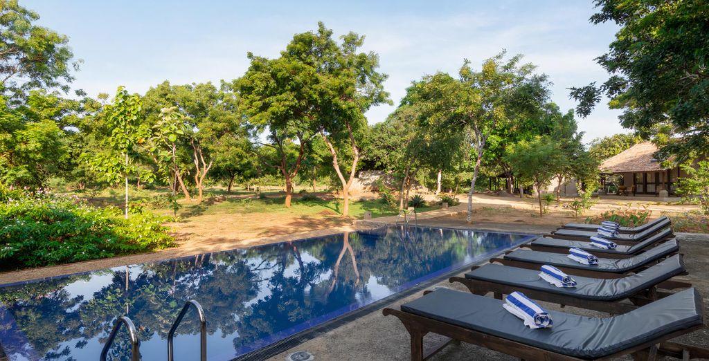 Tour privato: I luoghi da non perdere in Sri Lanka 