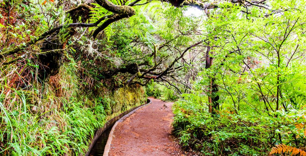 Senderismo en Madeira con estancia en Muthu Raga Madeira 4*