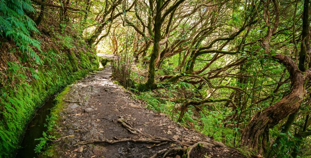 Senderismo en Madeira con estancia en Muthu Raga Madeira 4*