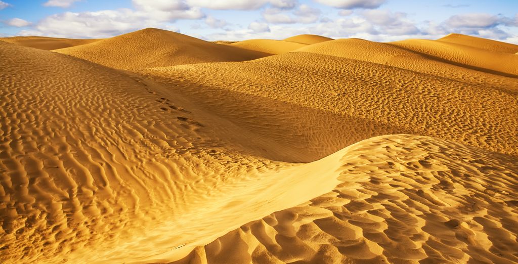 Tour di gruppo: Deserto e spiaggia