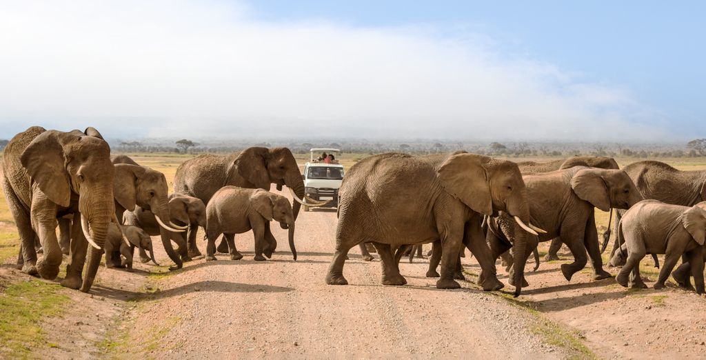 Jumbo Club Watamu 5* con possibile safari