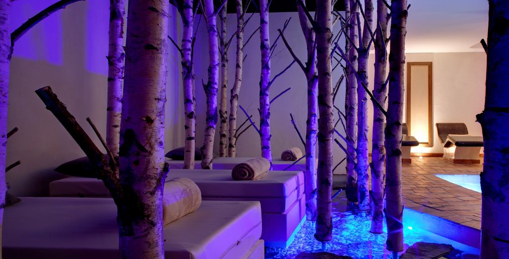 Hostellerie La Cheneaudière & Spa 5*