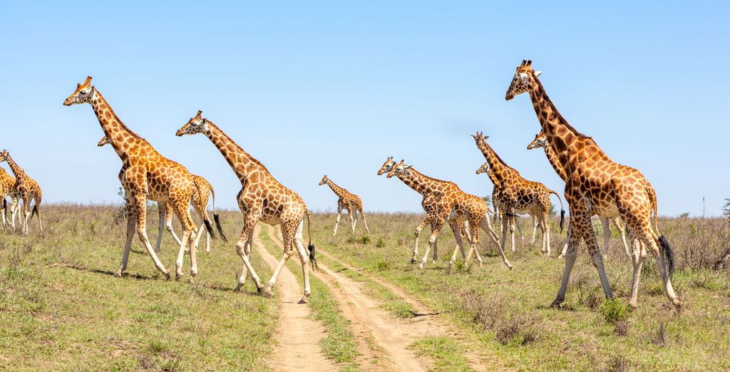 Tour privato: Viaggio imperdibile tra paesaggi unici