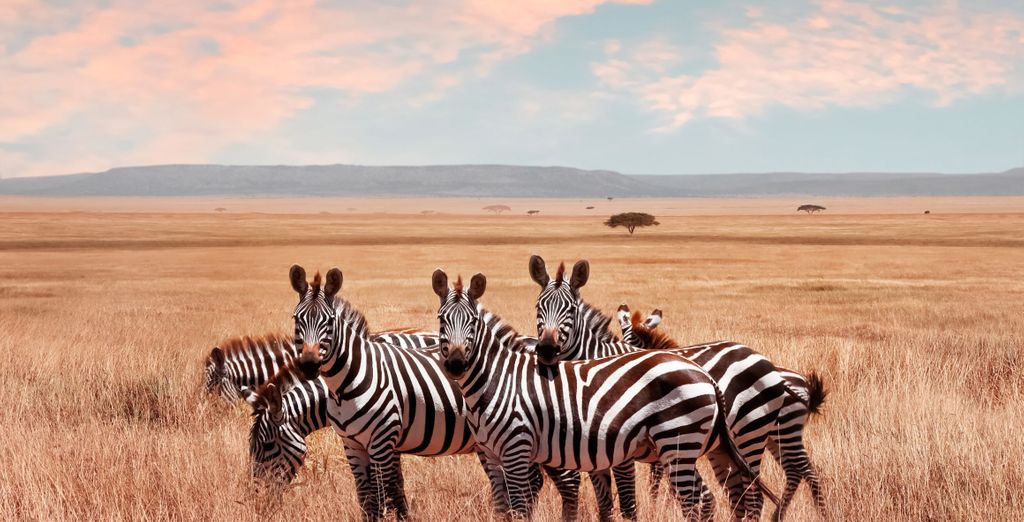 Tour privato: Viaggio imperdibile tra paesaggi unici