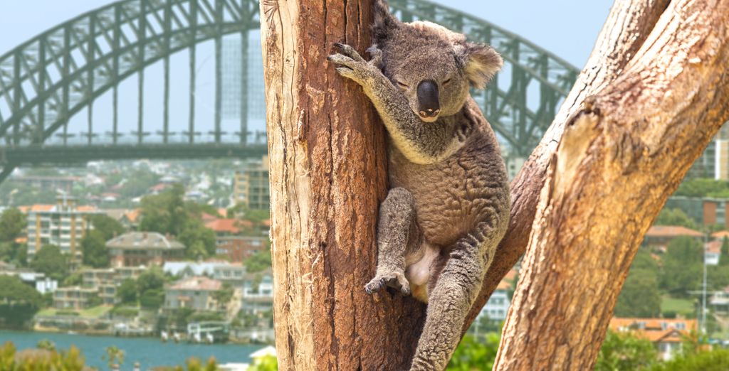Tour in libertà: Scoprendo l'Australia