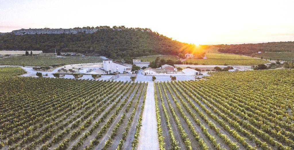 Château l'Hospitalet Wine Resort Beach & Spa 5*