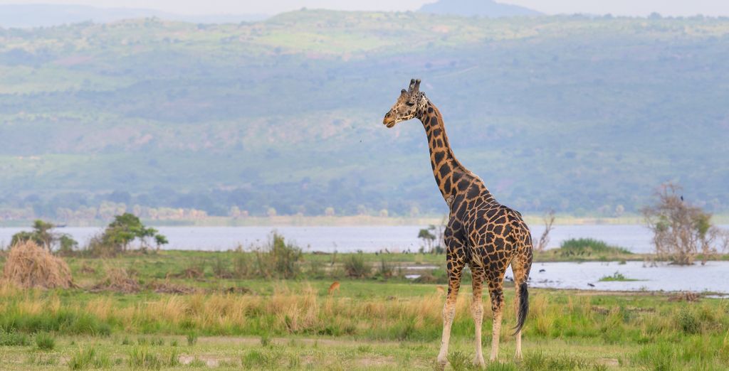 Tour privato: Alla scoperta della flora e della fauna locale