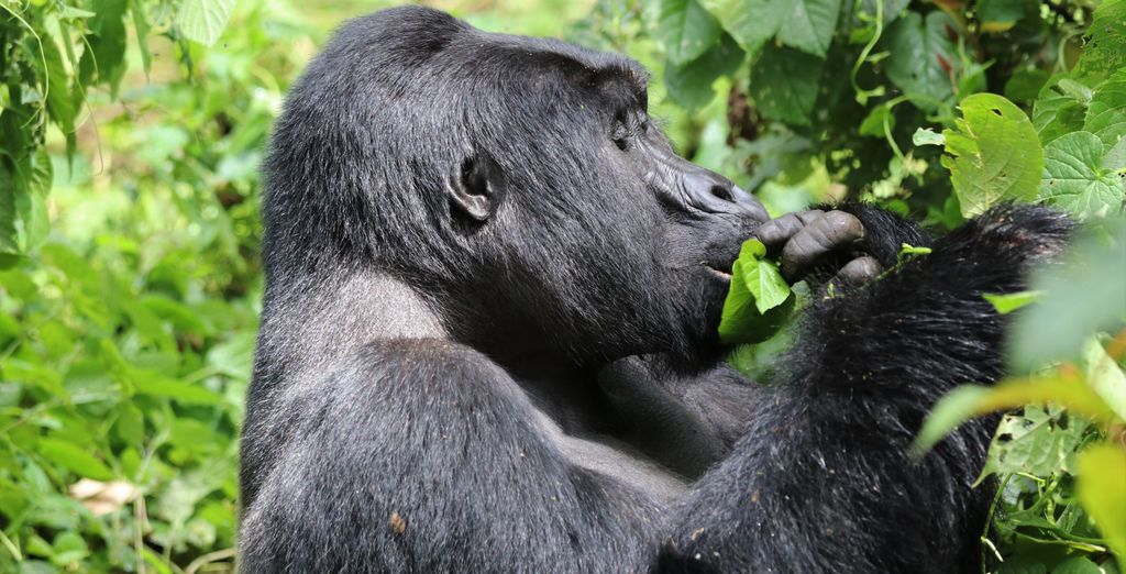 Tour privato: Alla scoperta della flora e della fauna locale