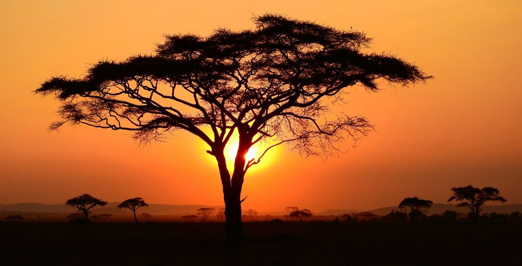 Safari alla scoperta della natura con estensione balneare