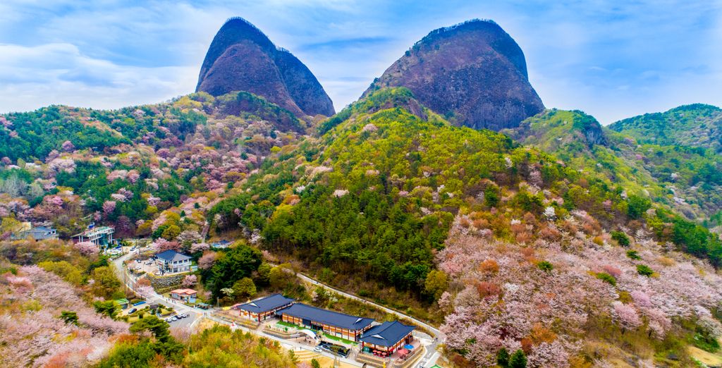 Viajes a Corea del Sur