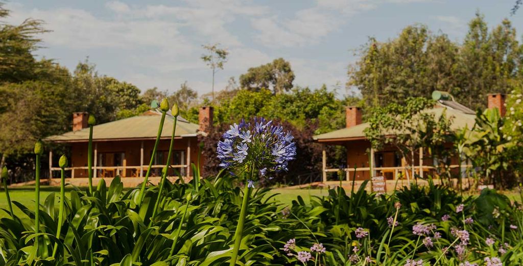 Combinato Safari e Sea Cliff Resort & Spa 5*