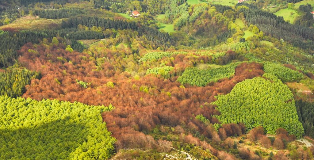 Autotour: Paesi baschi, La Rioja e Navarra