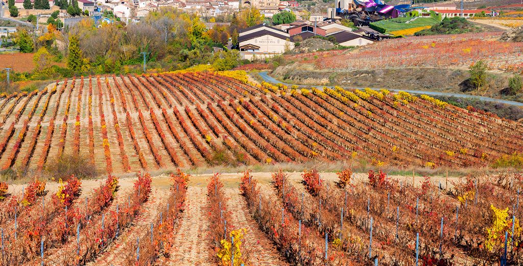 Autotour: Paesi baschi, La Rioja e Navarra