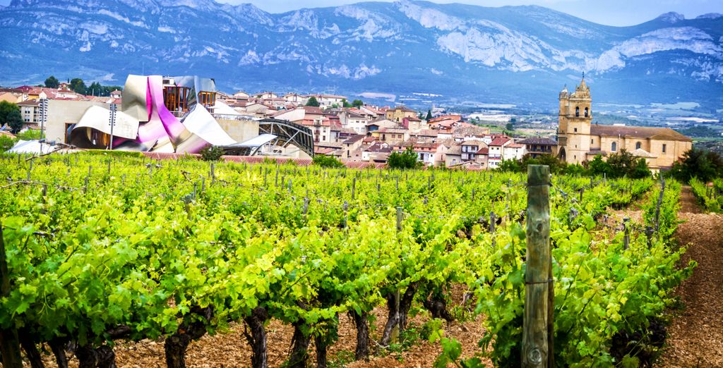Autotour: Paesi baschi, La Rioja e Navarra