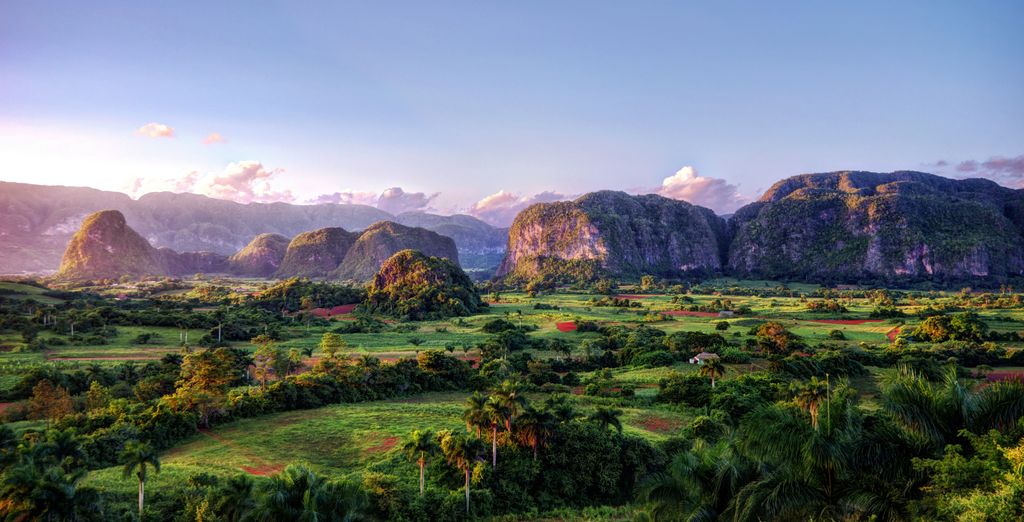 Tour di gruppo: L'irresistibile fascino cubano