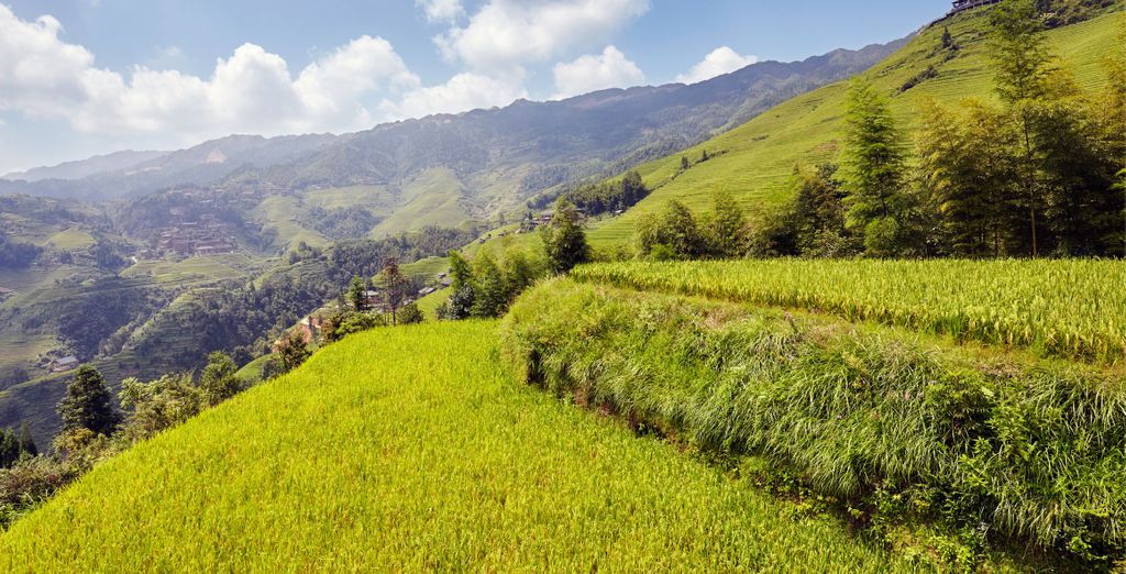 Tour privato: La Terra del Dragone con crociera sul fiume