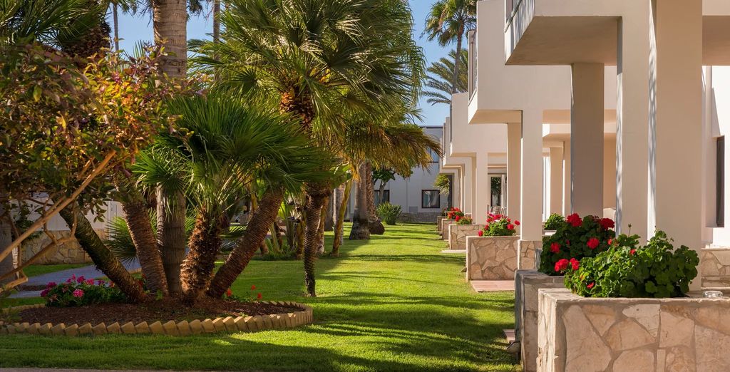 Alua Suite Fuerteventura Resort 4*