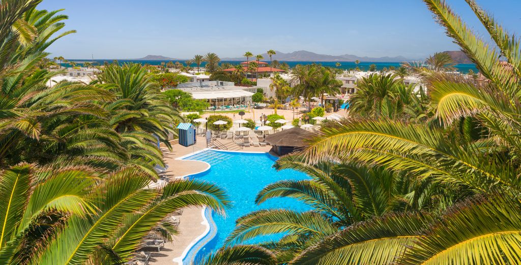 Alua Suite Fuerteventura Resort 4*