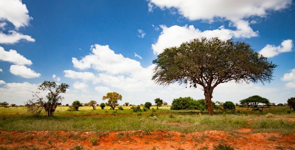 Seven Islands Resort 4* e safari di 2 notti 