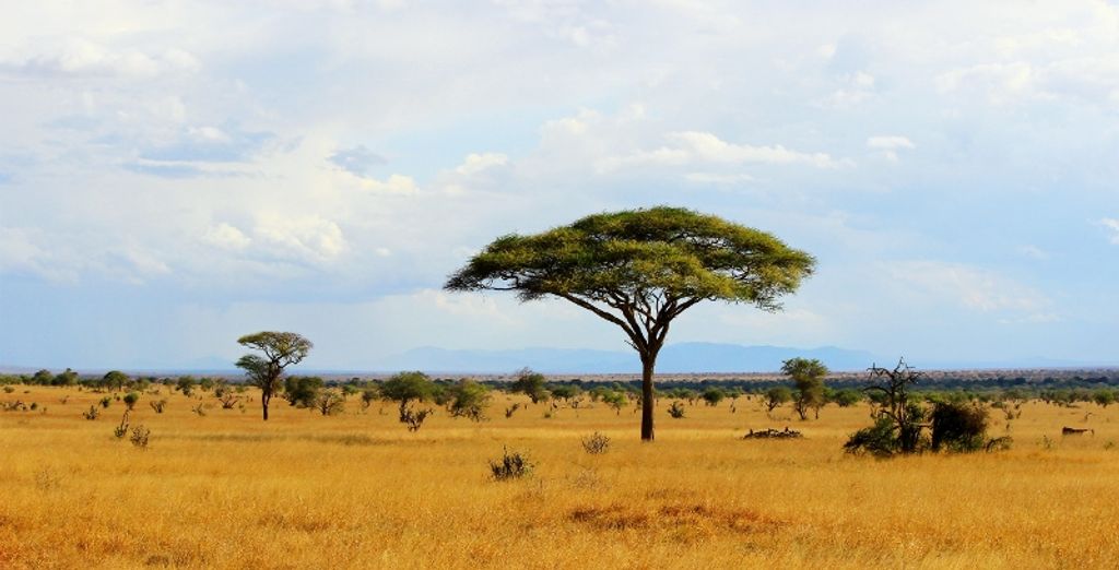 Seven Islands Resort 4* e safari di 2 notti 