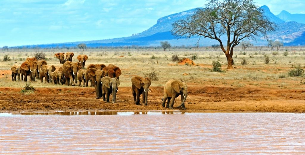 Seven Islands Resort 4* e safari di 2 notti 