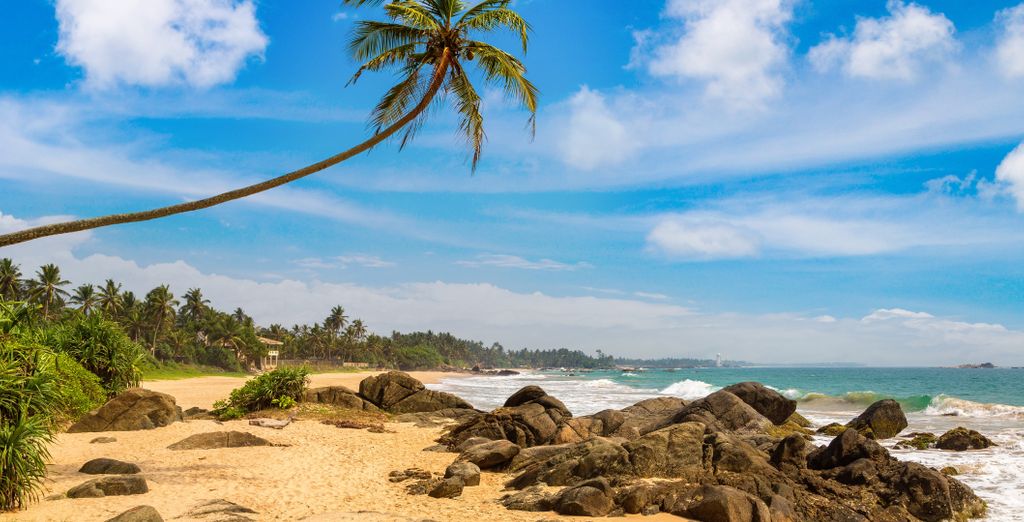Tour privato: Le meraviglie dello Sri Lanka ed estensione in spiaggia