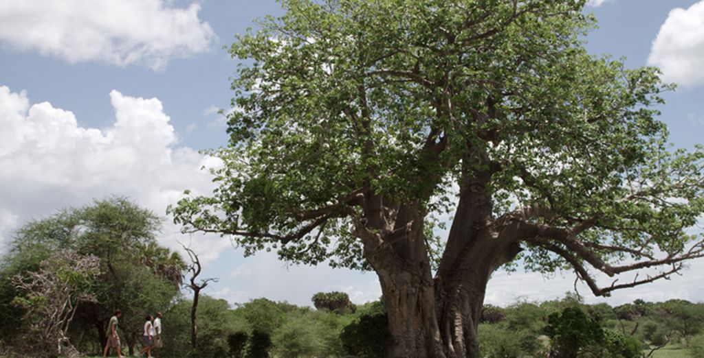 Karibu Beach Resort 4* con possibile safari in pre-estensione