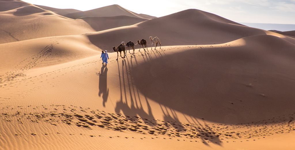 Tour di gruppo: Avventura nel deserto
