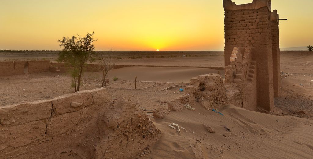 Tour di gruppo: Avventura nel deserto