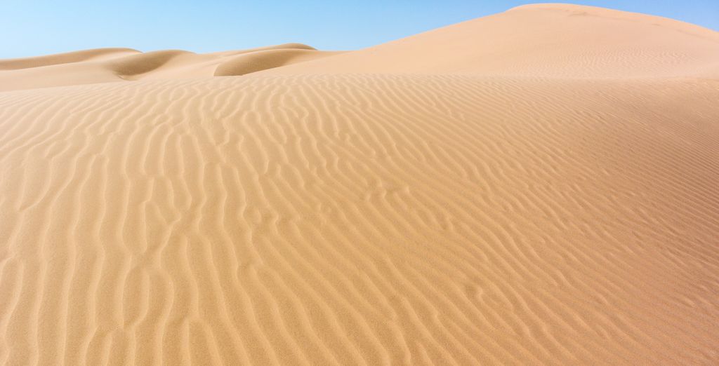 Tour di gruppo: Avventura nel deserto