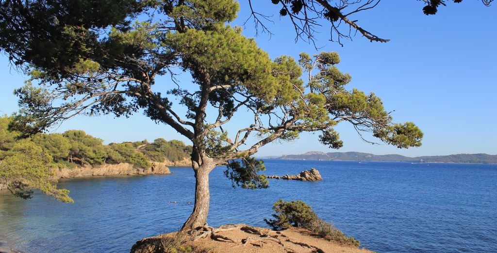 Résidence Prestige Odalys Le Riviera